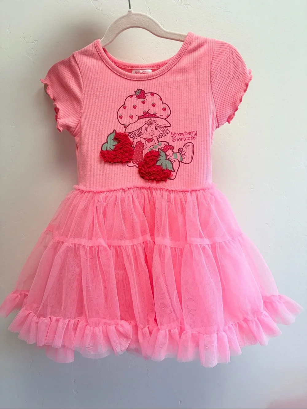 Girls Pink Strawberry Shortcake Tulle Dress